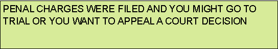 Rectangular Callout: PENAL CHARGES WERE FILED AND YOU MIGHT GO TO TRIAL OR YOU WANT TO APPEAL A COURT DECISION 