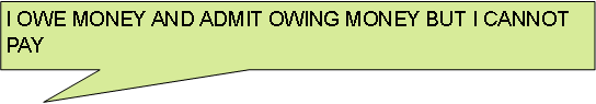 Rectangular Callout: I OWE MONEY AND ADMIT OWING MONEY BUT I CANNOT PAY