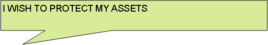 Rectangular Callout: I WISH TO PROTECT MY ASSETS