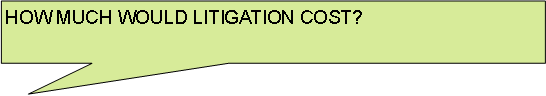 Rectangular Callout: HOW MUCH WOULD LITIGATION COST?